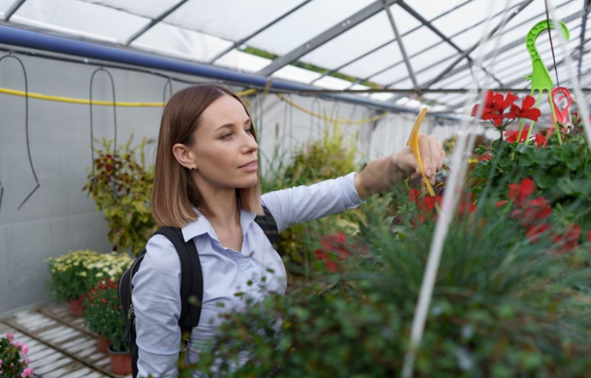Simple DIY Greenhouse Glazing Tips For New Property Owners