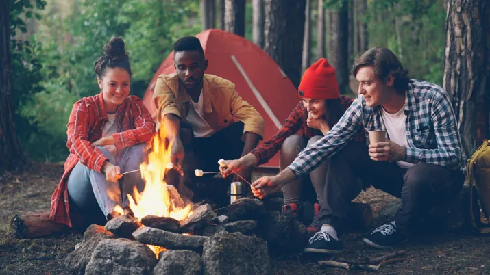 Things to Do in Cook Forest for a Memorable Nature Getaway