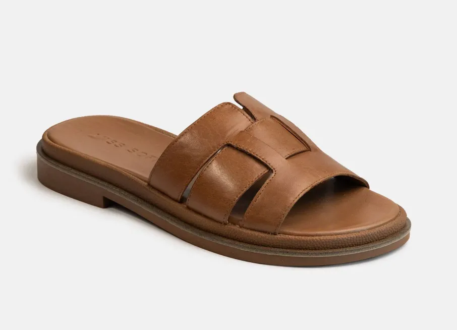 Women’s Shoe Essentials What Your Wardrobe Needs From Everyday Flats to Statement Heels
