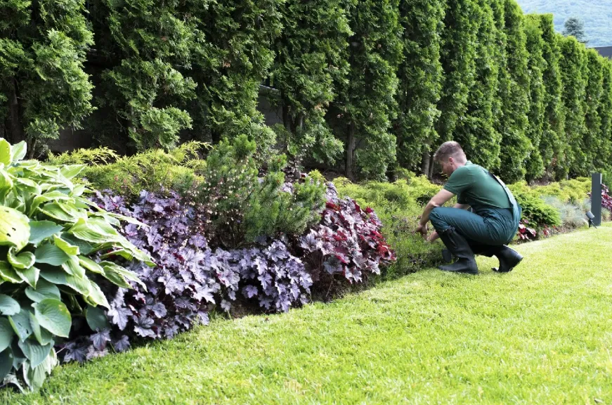 Year-Round Backyard Readiness Plan A Seasonal Guide to Outdoor Maintenance