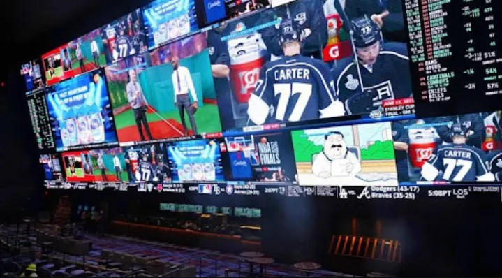 What Every Beginner Should Know Before Placing Their First Bet